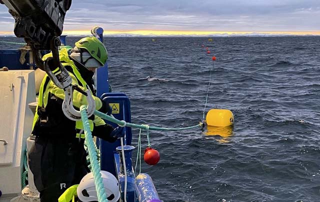 Offshore Seaweed farm (DNV)