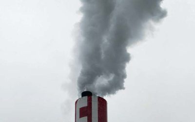 INDUSTRY ISSUES STATEMENT ON GHG REDUCTION POLICY